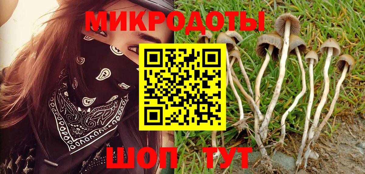 Псилоцибиновые грибы мицелий Острогожск
